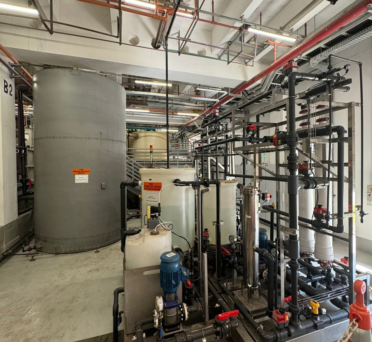 WhatsApp Image 2024-08-30 at 15.23.13